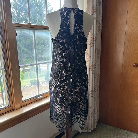 Express- NWT: Elegant Black Lace Dress - Picture 15 of 16